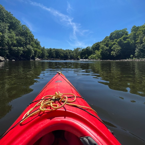 Meet your Posher, Diana. Welcome to my closet! - Picture 11 of 15